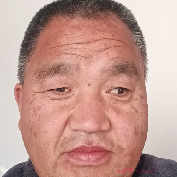 济源征婚相亲网
