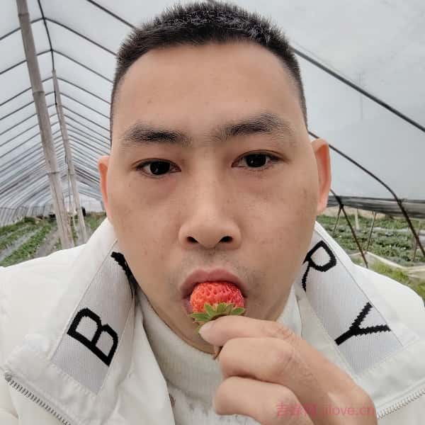 济源征婚网